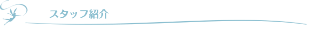 スタッフ紹介